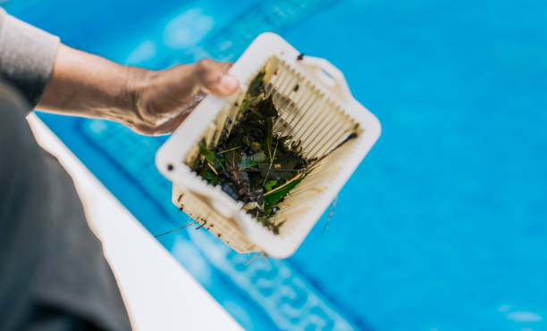 Best Estate Cleanout Services  in Rio Dell, CA